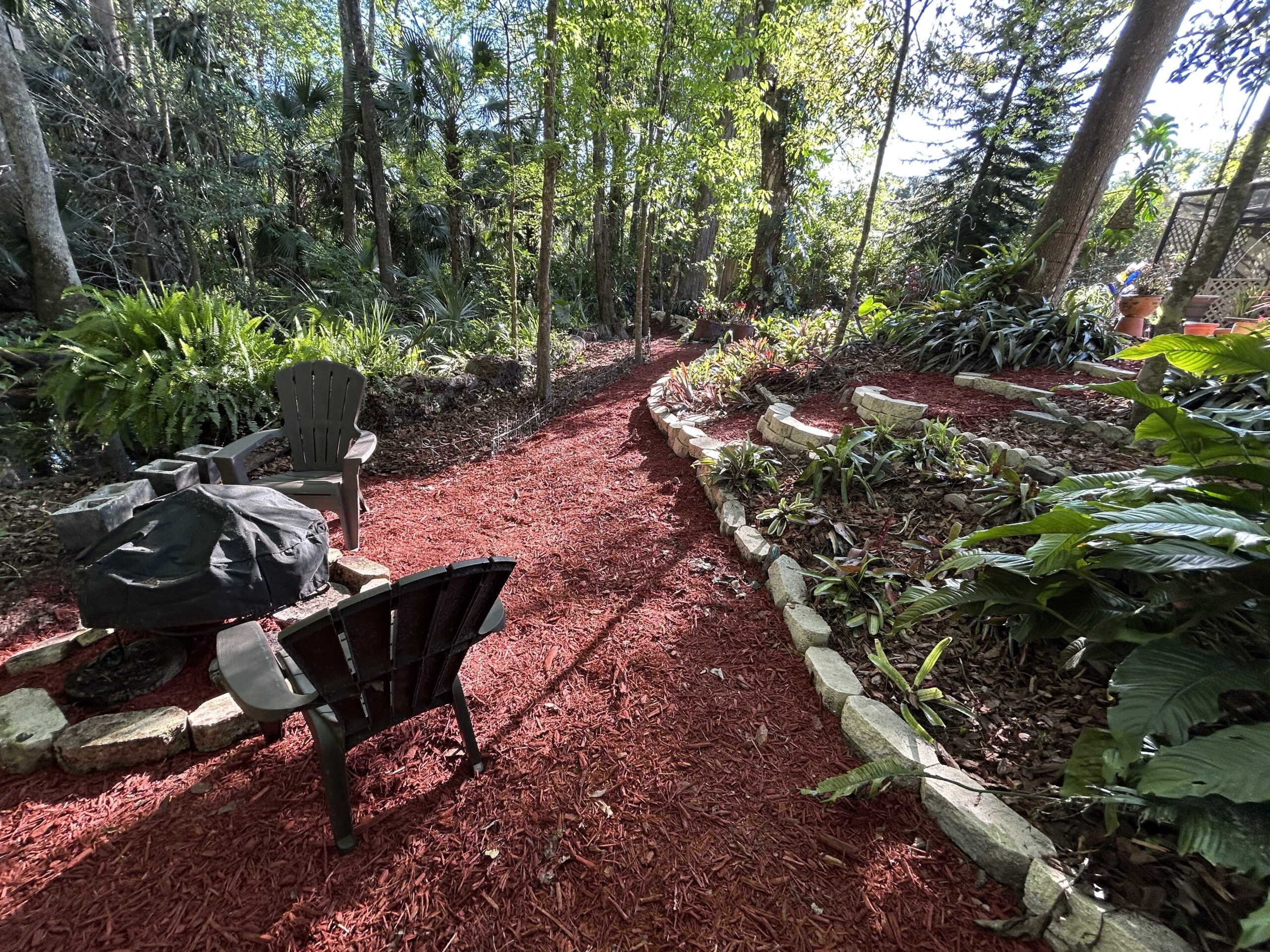 Revitalize Your Backyard with WeedWiseGardens’ Eco-Friendly Weed Pulling and Yard Cleanup!